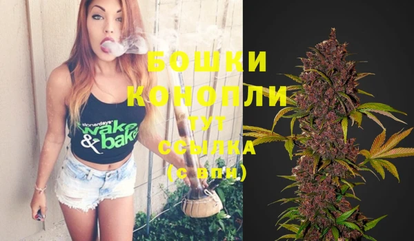 прущие грибы Липки