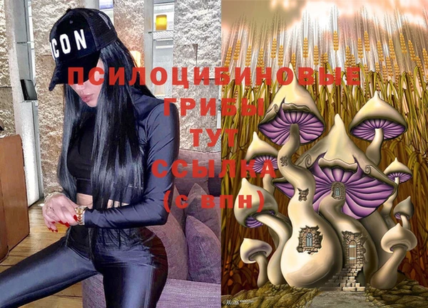 прущие грибы Липки