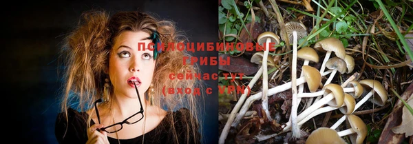 прущие грибы Липки