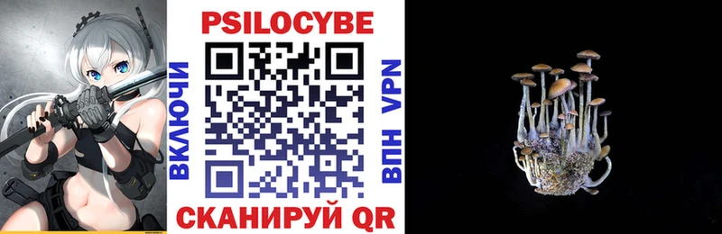 Галлюциногенные грибы MAGIC MUSHROOMS  как найти закладки  Медвежьегорск 
